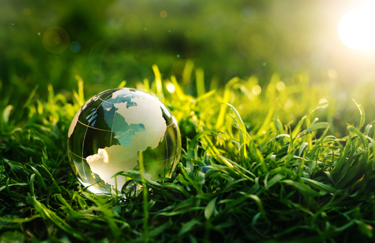 iStock-1312354175.jpg
